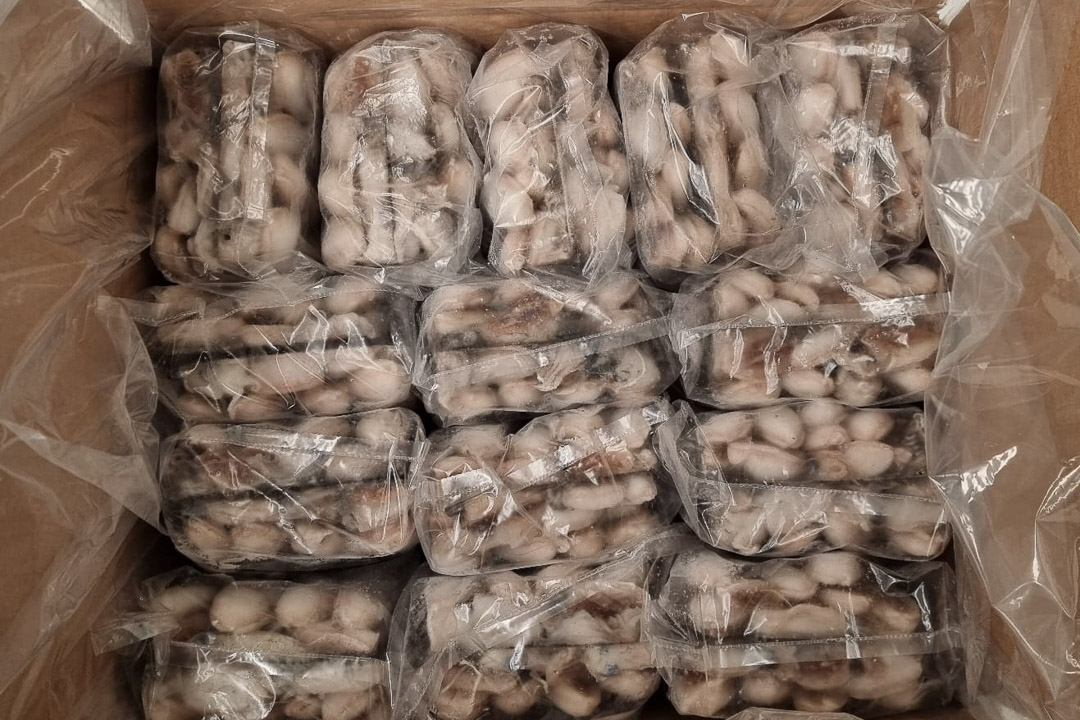 Chopitos congelados Marruecos ideales para frituras