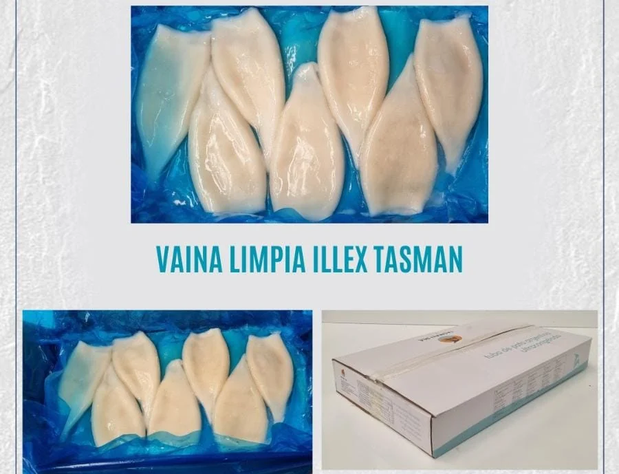 comprar vaina limpia tasman