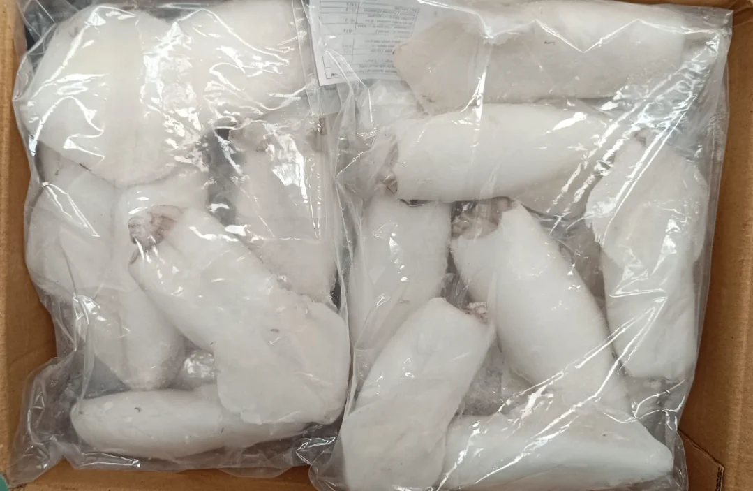 Comprar calamar limpio Indio congelado en bolsas de 1 kg