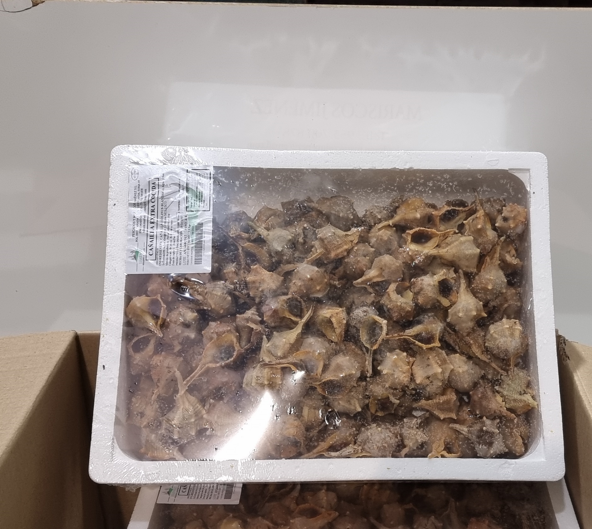 Cañaillas cocidas ultracongeladas para distribución en cajas de 18 kg.