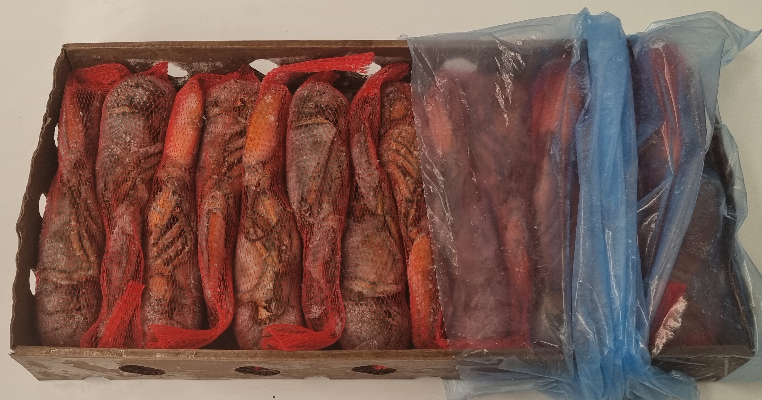Bogavante crudo congelado calibre 350/400 g