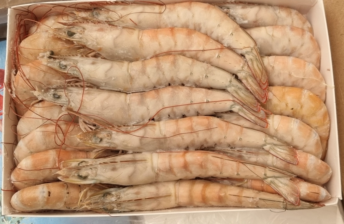 Langostino congelado en estuches de 1 kg barco 12 julio